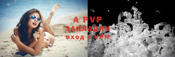 гидропоника Белокуриха