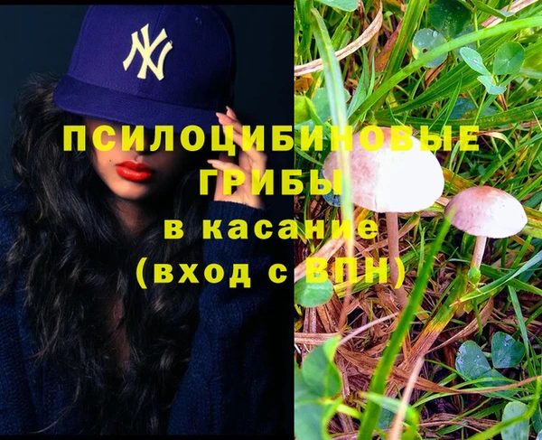 крисы Белоозёрский